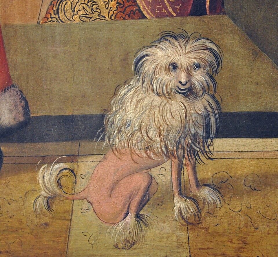 Gemälde-Ausschnitt: Auffällig frisierter, sitzender Hund mit langen Haaren an Kopf, Schultern, Schwanz und Pfoten. Der restliche Körper ist rasiert. Das Tier scheint gut gelaunt nach links oben zu schielen.