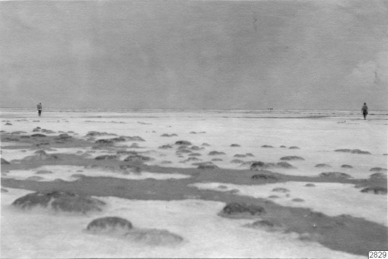 schwarz-weißes Foto von einer flachen Ebene, der Boden fast durchgehend weiß bedeckt, im Vordergrund dunklere Bereiche und Steine (?). Im Hintergrund je eine Person am linken und rechten Bildrand.